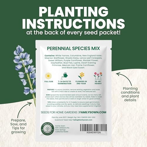Perennial Species Mix - Large 5g Envelope - 2,500 Flower Seeds for Planting - Wildflower Mix - Image 4