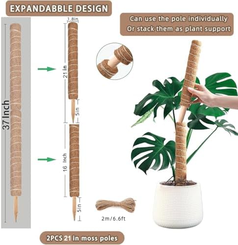Moss Pole, 2Pack 21 Inch Plant Support Stakes for Indoor Plants, Monstera Plant Support Stakes, 37 Inch Tall Coir Plant Pole Sticks for Potted Plants, Pothos, Philodendron - Image 2