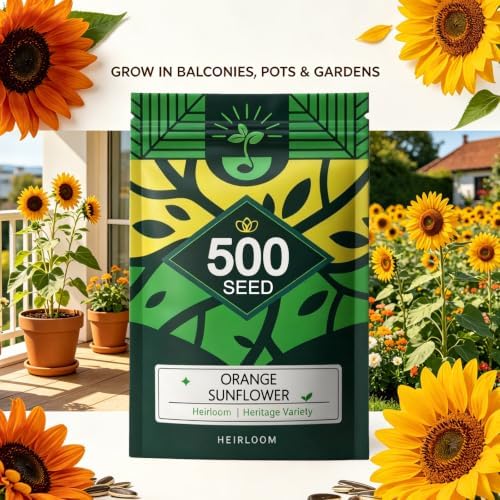 Sunflower Seeds to Plant, Easy to Grow Cut Flower, Heirloom Annual Flowers - Image 4