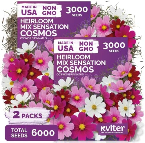 6,000 Mix Sensation Cosmos Heirloom Flower Seeds, Cosmos Bipinnatus by KVITER