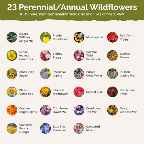 Eden Brothers Minnesota Wildflower Mixed Seeds for Planting, 1/4 lb - Image 3