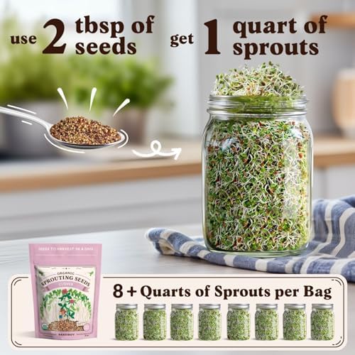 Seedboy Organic Non-GMO Sprouting Seeds (Red Clover) - Image 2
