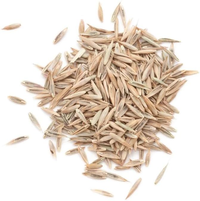 Contractors Choice Grass Seed 50lb, Premium Lawn Seeds for Full Sun Shade Bare Spots and High Traffic, Fast Germinating Dense Turf Coverage Repair Overseeding - Image 5
