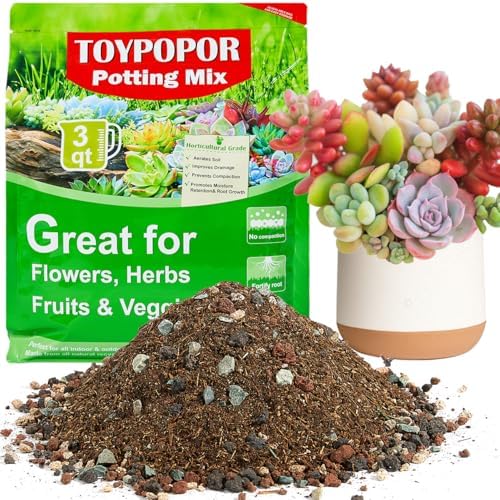 TOYPOPOR Succulent Soil, Cactus Potting Mix 3.75 Pounds/3QTS, High Drainage, Pre-Mixed Ready to Use for All Succulent Varieties, Indoor Plants, Bonsai, Terrarium, Houseplant, 30% Particles 70% Soil by TOYPOPOR