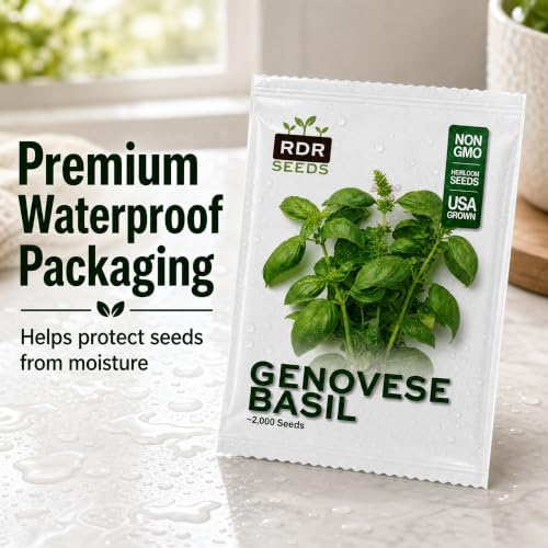 2000 Genovese Basil Seeds for Planting - Italian Sweet Basil for Pesto, Heirloom, Non-GMO, USA Grown by RDR Seeds - Image 7
