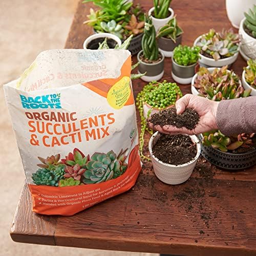 Back to the Roots 100% Organic Succulent & Cacti Mix (6 Quart) | Made in the USA | Premium Nutrition for Indoor and Outdoor Plants - Image 6