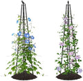 AlisisFores Garden Trellis, 63 inch Tall, 2 PCS by AlisisFores