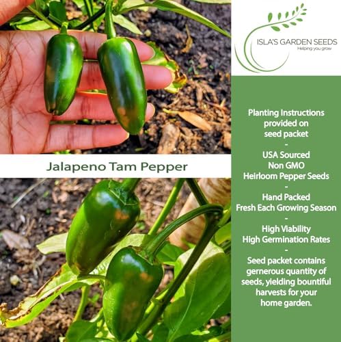 Jalapeño Tam Pepper Seeds (Capsicum annuum) – 50+ Non GMO & Heirloom Seeds by Isla’s Garden Seeds, Mild-Heat Jalapeños for Salsas, Stuffing & Fresh Cooking, Ideal Kitchen Garden Gift Idea - Image 2