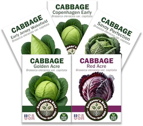 Cabbage Seeds for Planting - Combo Pack – 5 Heirloom Varieties Individually Packaged – Organic, High Germination, Non-GMO Grown in the USA by WeGrowGoodFood