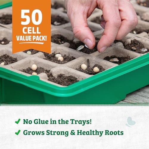 Back to the Roots Grow Kit RefillPack, 3 inches x 4.125 inches x 10 inche (Pack of 12) - Image 4