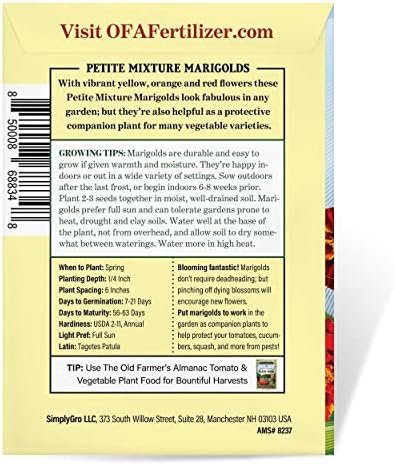 The Old Farmer's Almanac Petite Mixture Marigold Seeds - Premium Non-GMO, Open Pollinated, USA Origin - Approx 200 Flower Seeds - Image 3