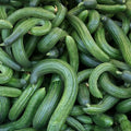 Eden Brothers Cucumber Seeds - Armenian Dark Green by EdenBrothers