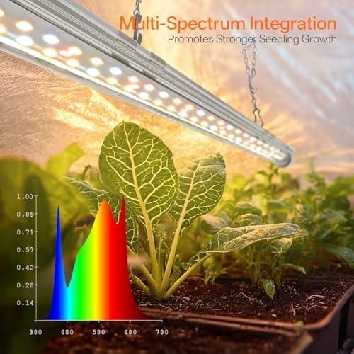 Bstrip Small Greenhouse, GM3 Indoor Greenhouse with Grow Light, Auto Timer - Image 6