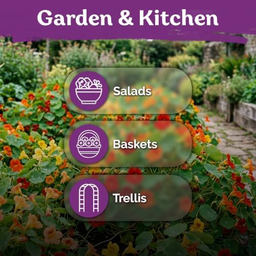 75 Single Mix Nasturtium Heirloom Flower Seeds, Tropaeolum Majus - Image 6
