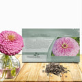 Outsidepride Luminosa Zinnia Seeds - 1000 Seeds Annual, Heat & Drought Tolerant Flower Seeds for Planting w/Vibrant Blooms for Pollinator Gardens & Floral Arrangements by Outsidepride