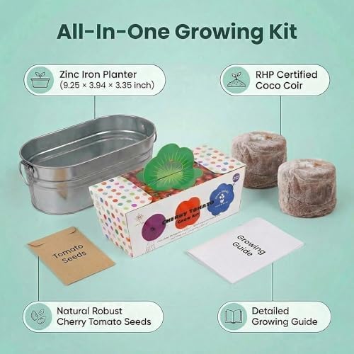 Cherry Tomato Grow Kit, All-in-One Indoor Vegetable Garden Starter Kit with Metal Planter, Complete Growing Set for Beginners, Kitchen Windowsill & Home Gardening & Plant Lovers Gift - Image 3