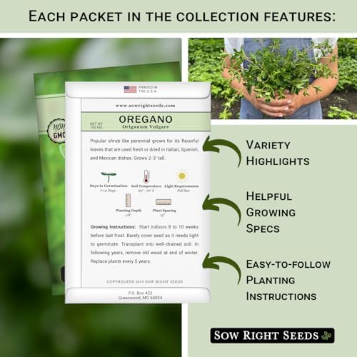 Sow Right Seeds - Perennial Herb Seed Collection for Planting Home Garden - Image 2