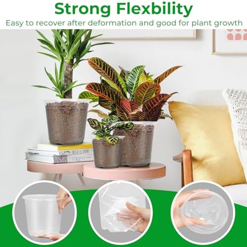 FUIJOL 50 Pack 3/4/5/6/7 Inch Clear Nursery Pots with Drainage Holes - Image 4