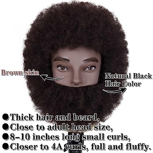 8"Afro Male Mannequin Head with Beard 100% Human Hair 4A Type for Braiding Hairdresser Training Head Cosmetology Afro Hair Manikin Head for Practice Styling Cornrow Braiding with Clamp Stand - Image 2