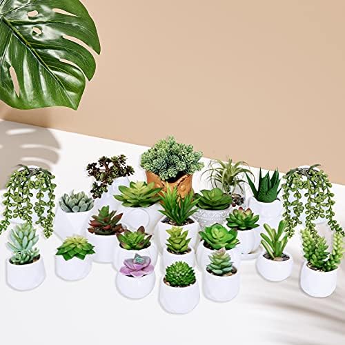 Winlyn 22 Pcs Bulk Artificial Succulents Plants Unpotted Small Aloe Hanging String of Pearls Cactus Green Fake Succulents for Succulent Garden Arrangement Centerpiece Wall Indoor Outdoor Home Decor - Image 3