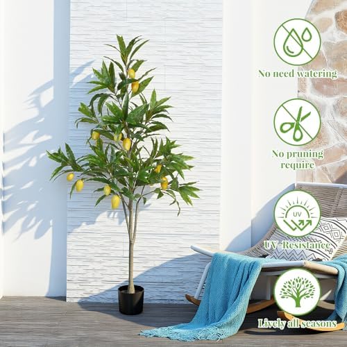 Daifunli Artificial Mango Tree with Realistic Leaves Natural Trunk - Image 4