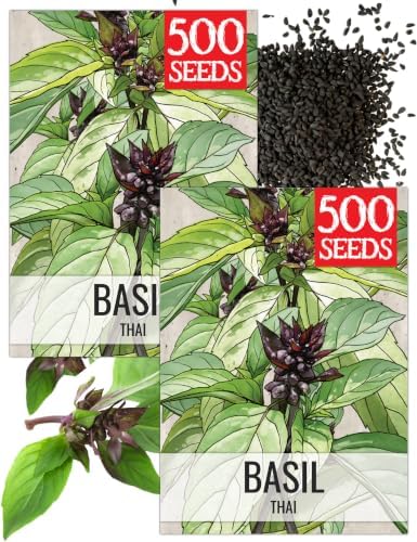 Seed Needs Thai Basil Seeds to Plant an Herb Garden - 2 Packs by SeedNeeds