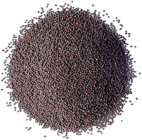Broccoli Seeds for Sprouting, 25 Pounds – Vegan, Kosher, Sirtfood, Bulk. Rich in Sulforaphane, Vitamin C, Vitamin A. Great for Growing Sprouts, Microgreens. High Germination Rate - Image 2