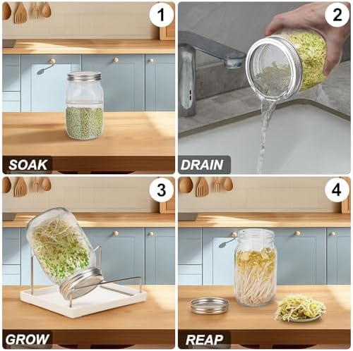 Lulonpon Sprouting Kit, 4 Sprouting Jar Kits, Wide Mouth Quart Mason Jars with Stainless Steel Screen Sprout Lids,1000ml Sprouts Growing Kit, Seed Sprouter Set for Growing Broccoli, Bean, Alfalfa ﻿ - Image 2