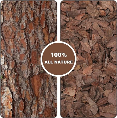 Orchid Bark 2qt, Natural Pine Bark Mulch for Plants, Great for Orchids, Succulents, Cactus, Bonsai, Ideal for Houseplant Mulch - Image 3