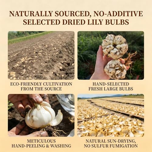 CHADUO Dried Lily Bulbs No Additives & Sulfur Free Natural Herbal Tea 7.05oz/200g Edible Dried Lilies Flowers Bulbs Bai He Dried Lily Bulb for Tea,Cooking,Porridge 百合干 龙牙百合 银耳莲子羹原料 - Image 3