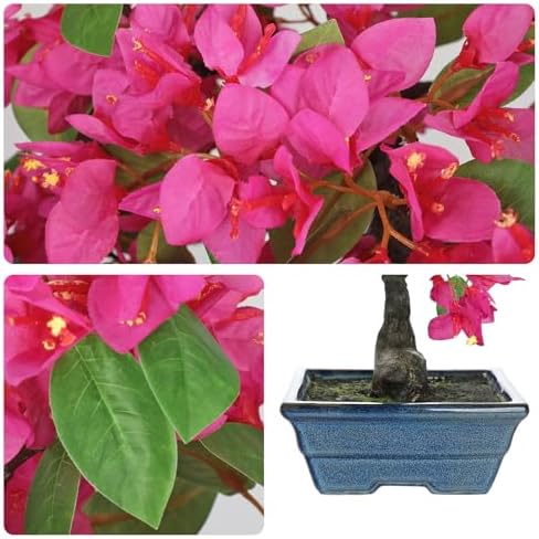 Briful Artificial Bougainvillea Tree in Blue Pot 18.5" Tall Faux Bougainvillea Floral Tree Tropical Silk Fake Flower Plant for Home Office Living Room Table Décor(Pink) - Image 3