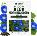 Blue Morning Glory Seeds for Planting Climbing Vine 100 Premium Seeds by CZGrain
