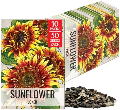 Seed Needs Joker Sunflower Seeds to Plant Cut Flowers - 10 Packs by SeedNeeds