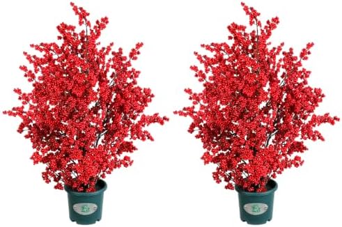 33 Inch Tall Artificial Red Berry Potted Plant, Christmas Faux Berry Bush Floor Decoration for Front Porch, Entryway, Living Room & Fireplace Farmhouse Indoor Decor by QIANYUN