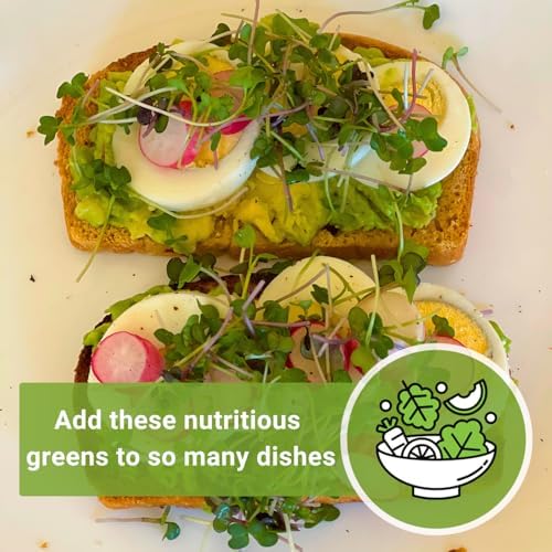 Sow Right Seeds- 7000 Superfood Mix Microgreen Seed for Growing Bulk Indoor - Image 7