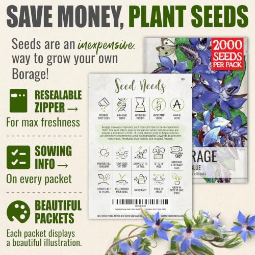 Seed Needs Borage Seeds to Plant an Herb Garden - XL Pack - Image 3