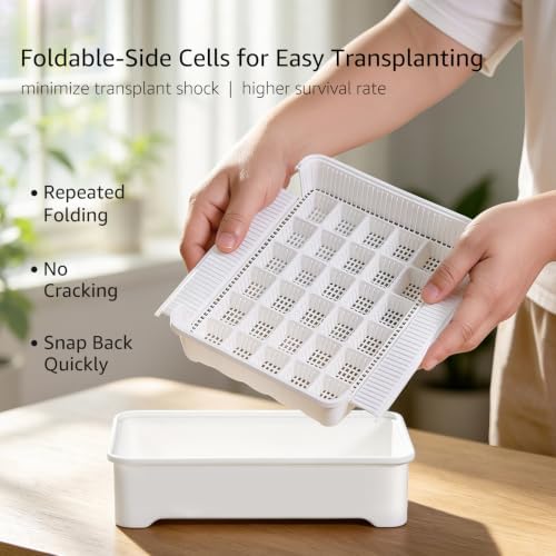 Seed Starter Tray Kit with Adjustable-Vent Humidity Dome & Air‑Pruning Cells, Reusable Plant Germination Trays with Superior Air & Drainage, Foldable‑Side Cells for Easy Transplanting, 30‑Cell - Image 4