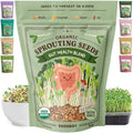 Seedboy Organic Non-GMO Sprouting Seeds (Gut Health Blend) by Seedboy