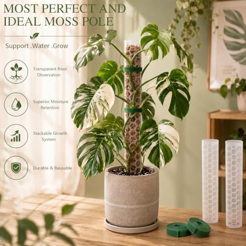 Plastic Moss Pole for Monstera and Climbing Plants (2 PACK-24Inch) - Image 3