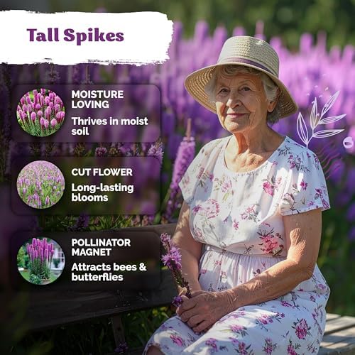 1,200 Marsh Blazing Star Heirloom Flower Seeds, Liatris Spicata - Image 4