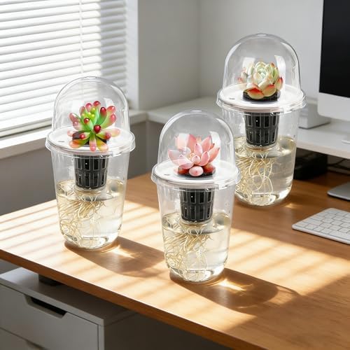 Clear Hydroponic Nursery Pots with Humidity Domes & Rrow Sponge 6-Pack - Image 4