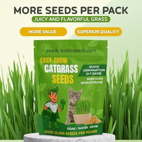 Todd's Seeds Cat Grass Seeds for Indoor Cats, 1lb Wheat Grass Seeds - Image 3