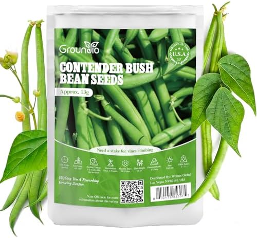 Groundio 30+ Contender Bush Green Bean Seeds - Phaseolus Vulgaris by Groundio