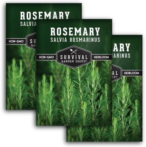 Rosemary Seeds for Planting – Survival Garden Seeds (3 Pack) by SurvivalGardenSeeds