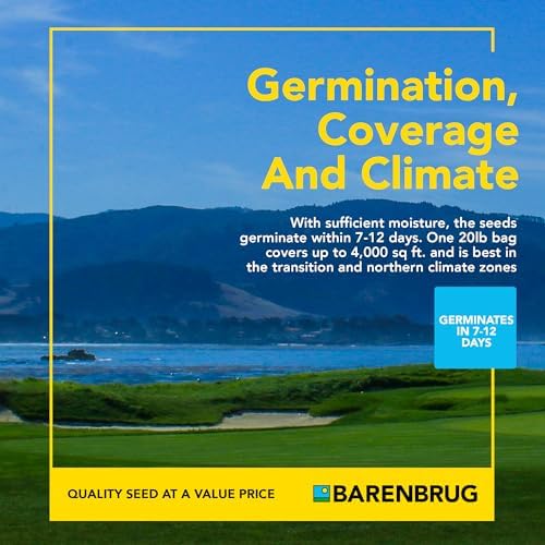 Barenbrug Pebble Beach Sun & Shade Grass Seed Mixture for Lawn Repair & Growth, Pebble Beach Golf Course Approved Blend, 20 LB Bag - Image 6