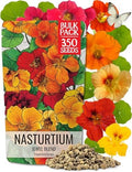 Seed Needs Nasturtium Seeds Jewel Mix Heirloom 1.5 Ounce Bulk Pack by SeedNeeds