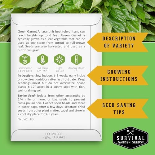 Green Garnet Amaranth Seeds for Planting - Survival Garden Seeds (1 Pack) - Image 2
