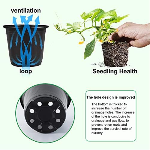 Augshy 50 Pcs 0.5 Gallon Black Plastic Plant Nursery Pots 6 Inches Seed Starting Pots Containers with 50 Labels - Image 4
