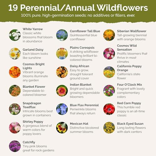 Eden Brothers Dry Area Wildflower Mixed Seeds for Planting, 10 lb - Image 3