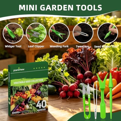 Fall Winter Vegetable Heirloom Seeds | 40 Varieties | 20,000+ High Yield Garden Seeds | Sweet Basil, Cherry Tomato, Romaine Lettuce & More | 2026 Season | for Indoor & Outdoor Home Planting - Image 6
